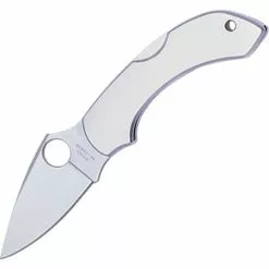 Spyderco Knives Spyderco 28P Dragonfly Lockback Folding Pocket Knife