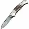 Boker Tree Brand Knives Boker 111910DAM Junior Scout Lockback Knife Stag