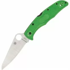 Spyderco Knives Spyderco 91FPGR2 Pacific Salt 2 Lockback Green